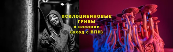 крисы Абдулино