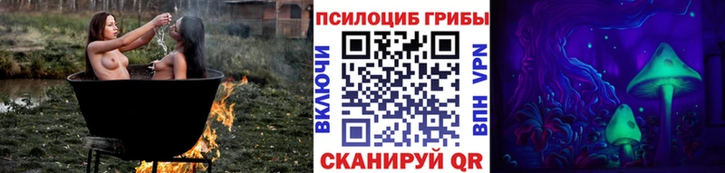Галлюциногенные грибы GOLDEN TEACHER наркошоп Керчь