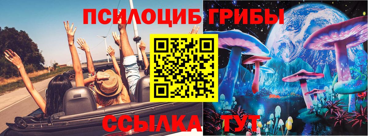 Псилоцибиновые грибы GOLDEN TEACHER Керчь